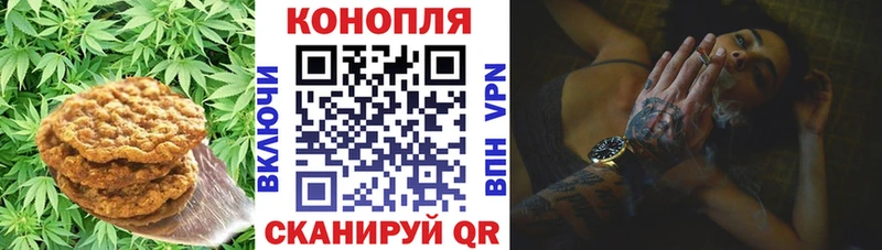 Cannafood конопля  купить закладку  Чишмы 