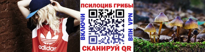 где купить наркоту  Чишмы  mega как зайти  Псилоцибиновые грибы GOLDEN TEACHER 
