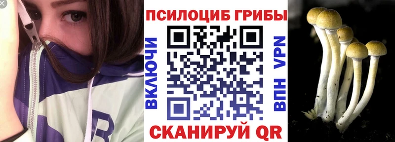 Псилоцибиновые грибы мицелий Чишмы